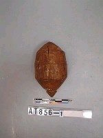 藏品(陀螺)的圖片